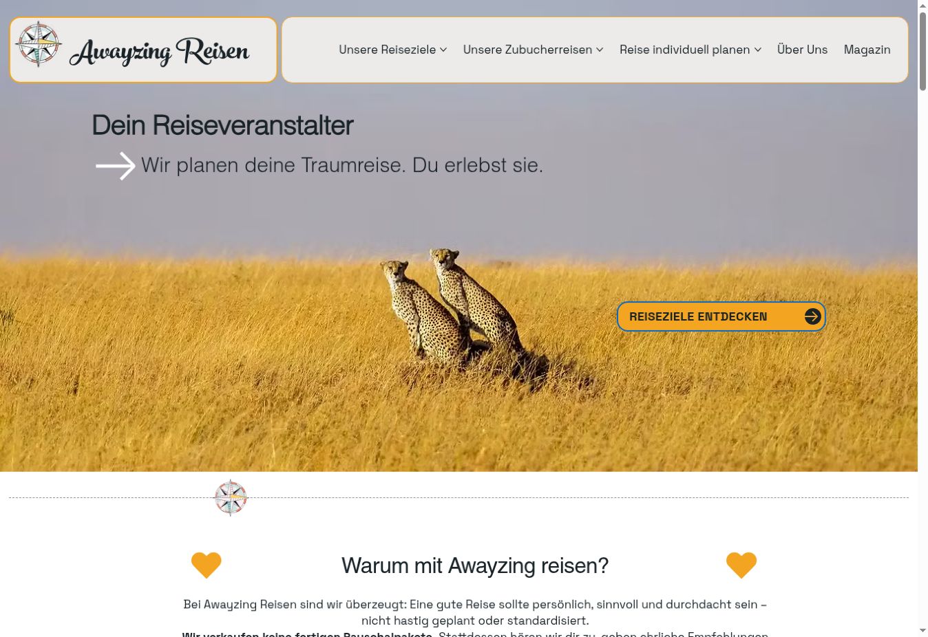 Awayzing Reisen live website screenshot