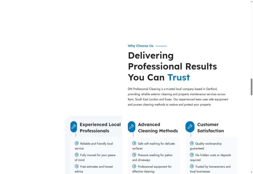 DM Professional Cleaning live website screenshot