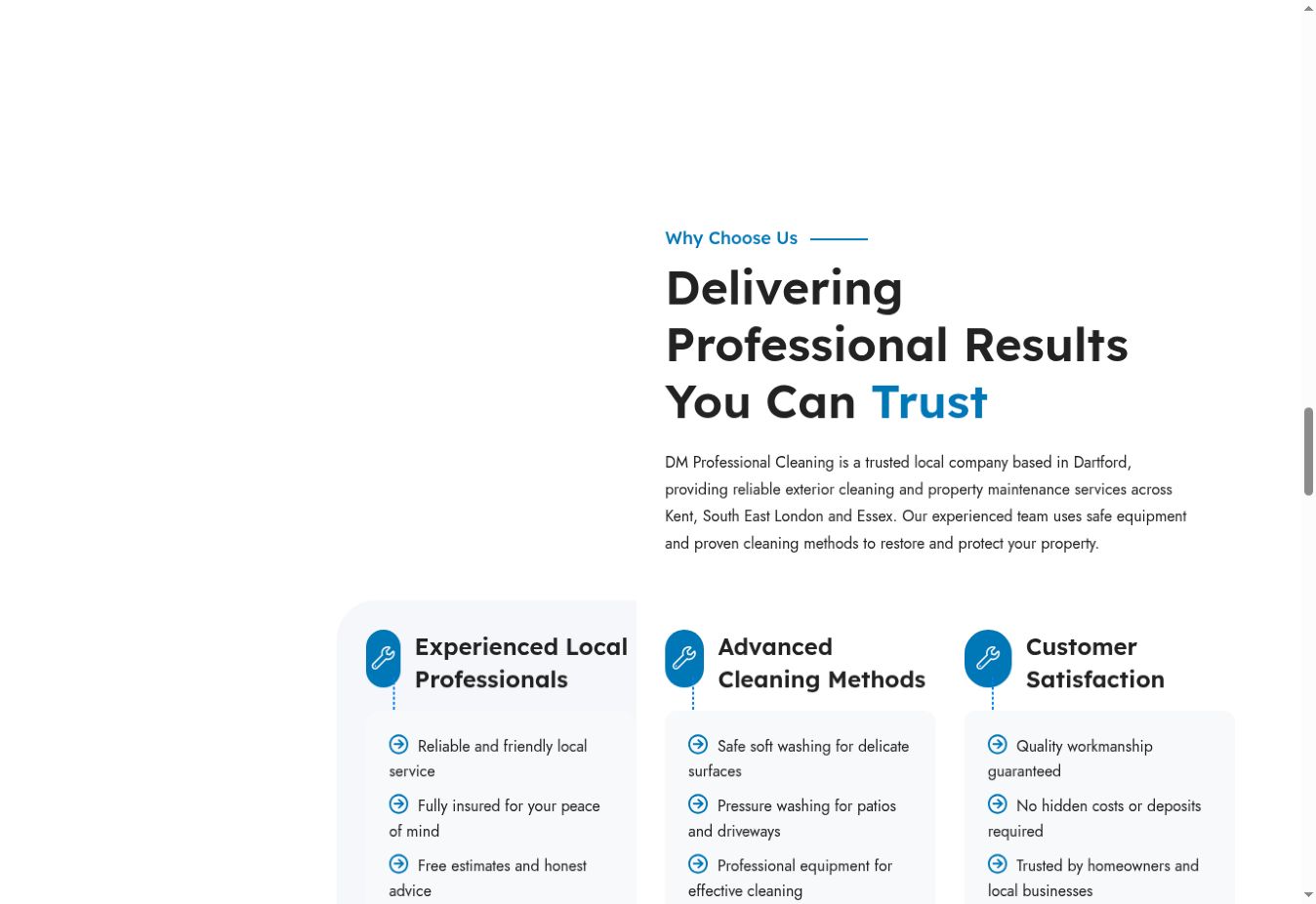 DM Professional Cleaning live website screenshot