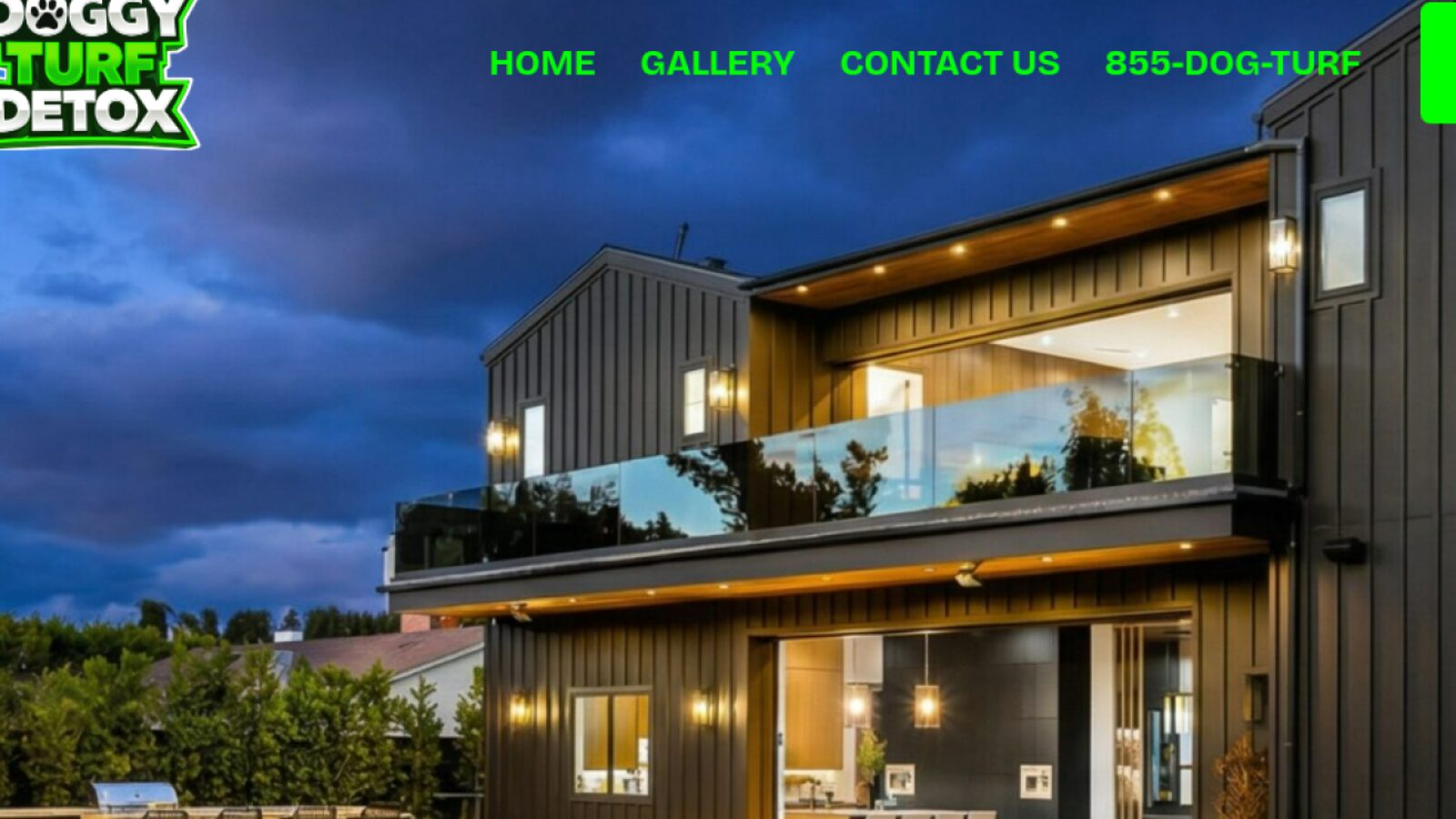 Doggy Turf Detox — Website Design & Development Case Study website design detail 2
