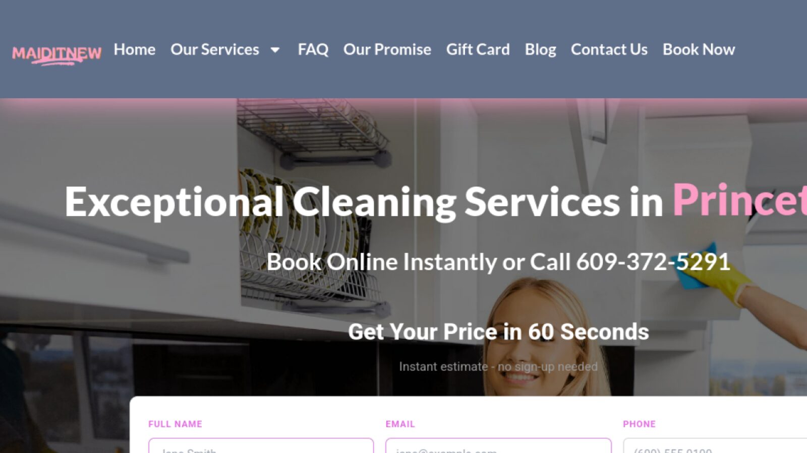 Maid It New — Landing Page & Conversion Case Study website design detail 1