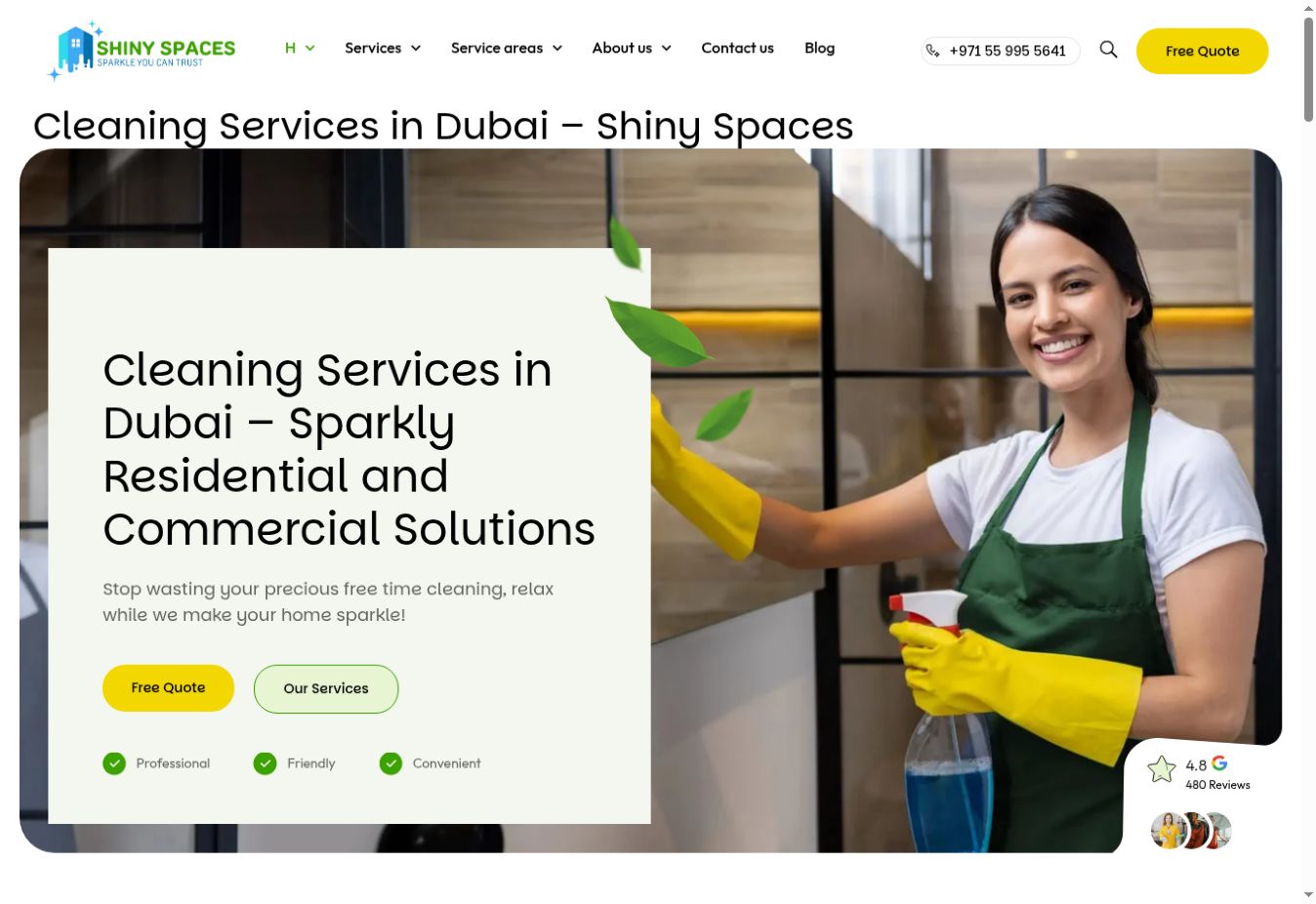 Shiny Spaces live website screenshot